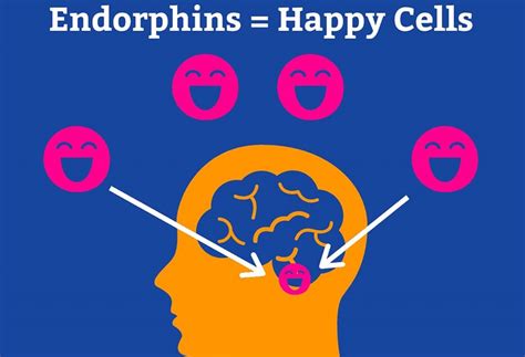 Tìm Hiểu Hormone Endorphins Là Gì Và Tác Dụng Giảm đau Tự Nhiên Của Chúng
