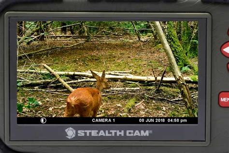 If you use a cheap sd card, it might suddenly stop working at any time. Best SD Card Viewer for Trail Cameras (Buying Guide 2021)