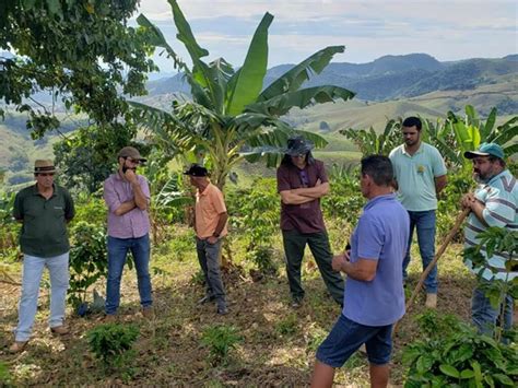 Projeto Incentiva Adoção De Sistemas Agroflorestais Em Propriedades Do Espírito Santo