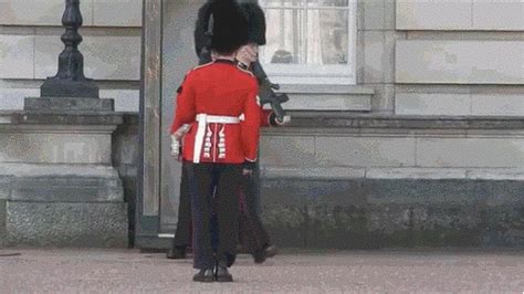 A Buckingham Palace Guard Slipped In Front Of Tourists But Still Managed To Keep His Cool