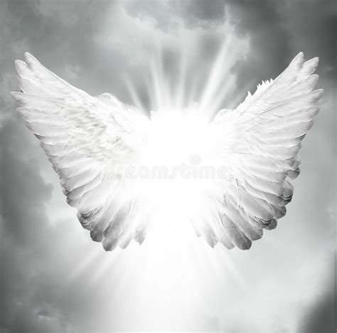 5700 Angel Free Stock Photos Stockfreeimages