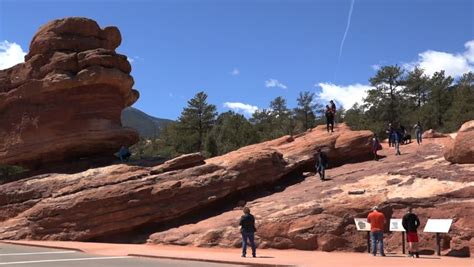 In The Garden At Garden Of The Gods Colorado Image Free Stock Photo