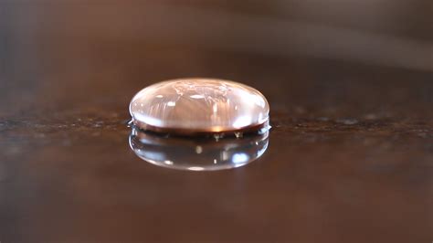 What Is Surface Tension FunsizePhysics