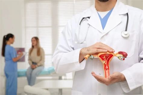 Ginecología Y Obstetricia ¿qué Es Y Por Que Debes Visitarlos