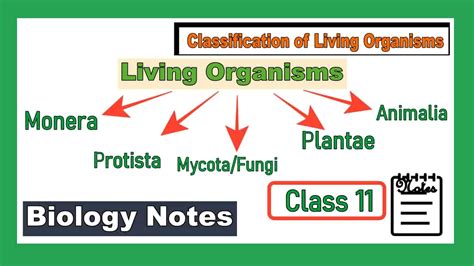 Classification Of Living Organisms Class 11 Notes Exam Study Live