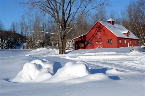 27 Must Do Winter Preparation Chores For Your Homestead