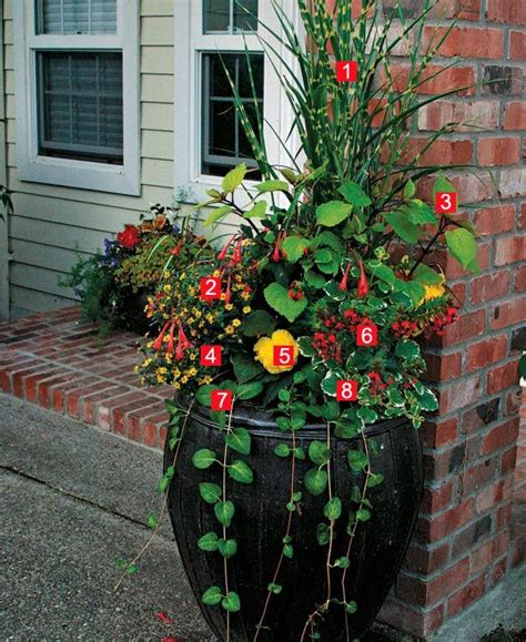 We did not find results for: Stylish Shady Containers ~ many different types of ...