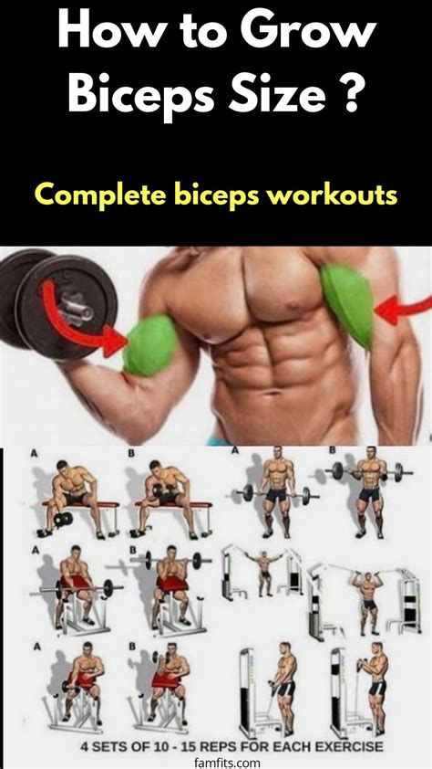 How To Grow Biceps Size Best Bicep Workout Shoulder Workout Biceps