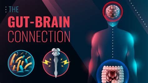 The Gut Brain Connection Infographic Technology Networks
