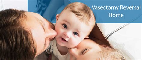 Vasectomy Reversal Male Fertility And Peyronie S Clinic