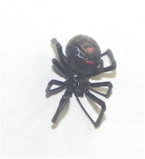 Black Widow Spiders Cottage Country Pest Control