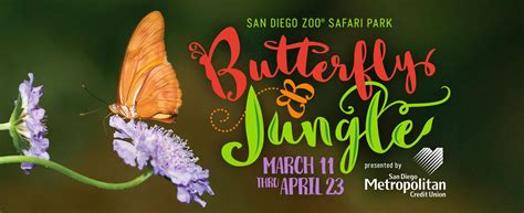 Butterfly Jungle San Diego Zoo Safari Park San Diego Travel Blog