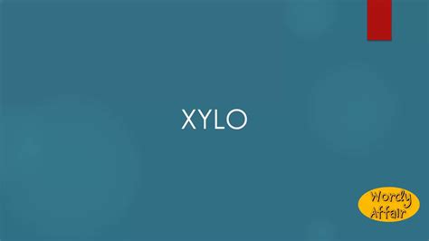 Xylo Meaning Youtube