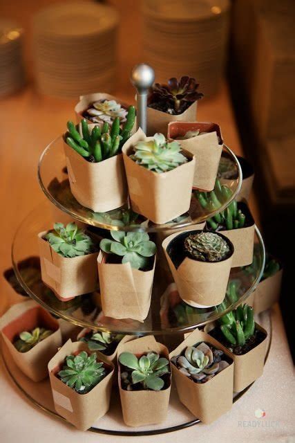Succulent Party Favors 40 Outstanding Party Favors You Can