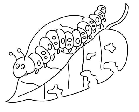 A Drawing Of A Caterpillar On A Leaf