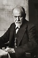 File:Sigmund Freud 1926.jpg - Wikimedia Commons