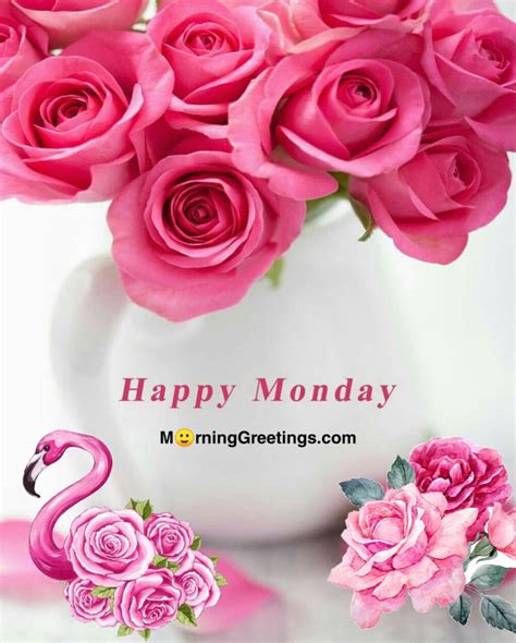 50 Best Monday Morning Quotes Wishes Pics Morning Greetings Morning