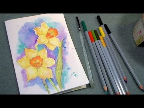 The watercolor pencils can give a lot of control to your work of art, and it gives you time to think about what you're drawing. daffodil watercolor pencil tutorial - YouTube