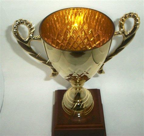 Large Cup Trophy With Free Engraving On A Brass Plate