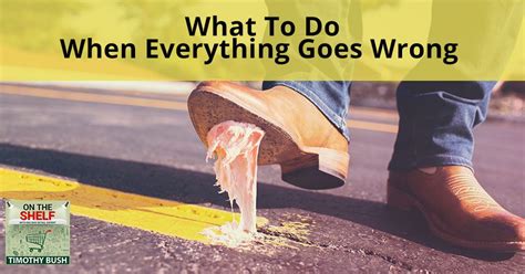 What To Do When Everything Goes Wrong Flash Topic 7 On The Shelf Now