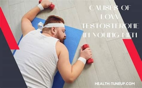 What Causes Low Testosterone In Young Males 7 Reasons