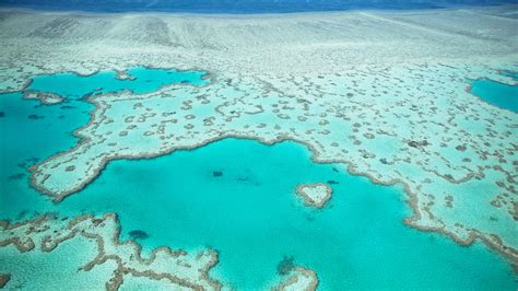 Worlds Most Amazing Views Great Barrier Reef Travel And Leisure