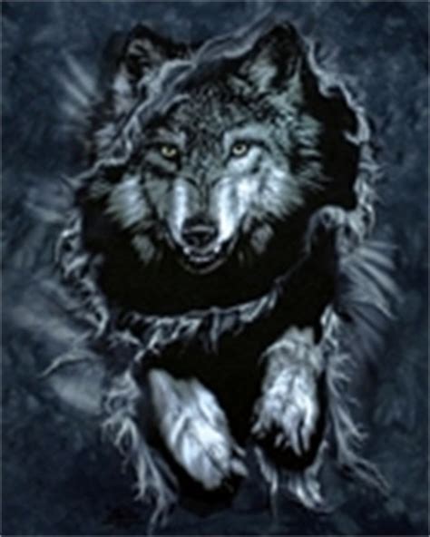 Wolf Phone Wallpaper Wallpapersafari
