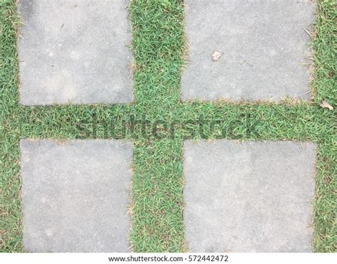 Concrete Green Grasses Background Texture Wallpaper Stock Photo