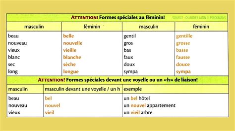 Les Adjectifs Masculin Et Feminin