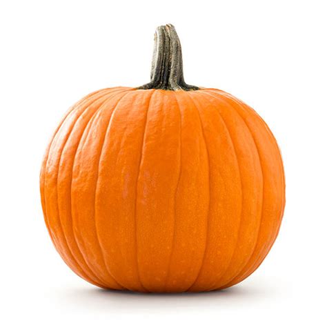 Royalty Free Pumpkin Pictures Images And Stock Photos
