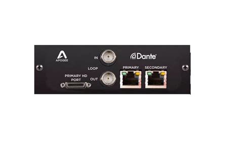 Apogee Dante Option Card Music Store Campobasso