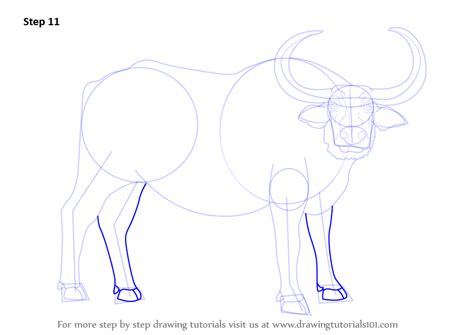 Home » animals » wild animals » how to draw a buffalo | wild animals. Learn How to Draw a Water Buffalo (Farm Animals) Step by ...