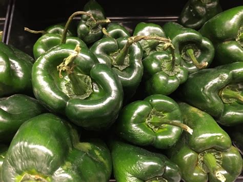 Poblano Peppers A Mild Mexican Chile Recette Magazine