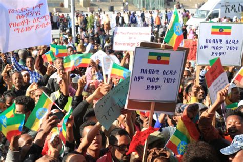 Ethiopian Protesters Denounce Foreign Interference Apanews