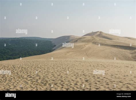Sandy Dune Du Pilat The Biggest Sand Dune In Europe With The Pine Forest Arcachon Nouvelle