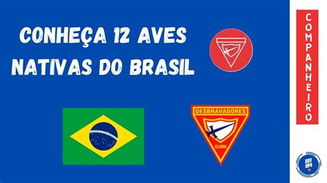 Doze árvores Nativas Desbravadores