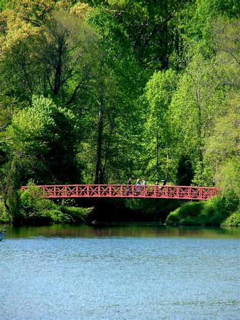 Red Bridge Taken At Centennial Lake In Maryland