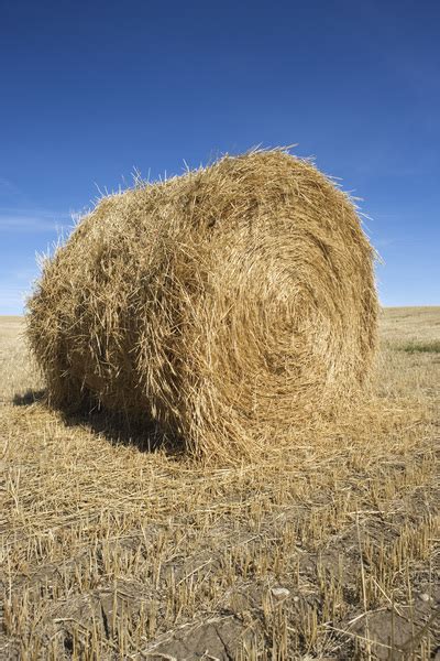 Hay Bale In Field Free Photo Download Freeimages