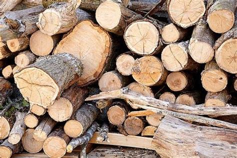 What Do You Know About Lumber Proprofs Quiz