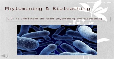 Saturday November 28 2015 Phytomining And Bioleaching Lo To