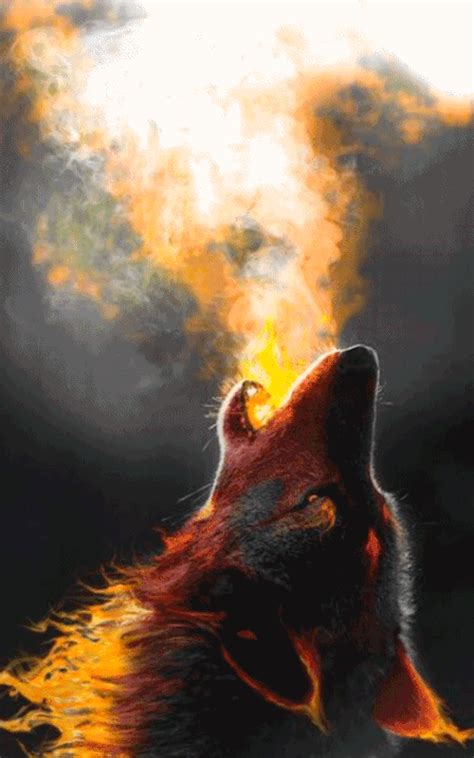 The Wolf Is Looking Up At The Bright Light Coming From Its Mouth And Head