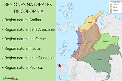 6 Regiones Naturales De Colombia Mapa Características Y Resumen Con