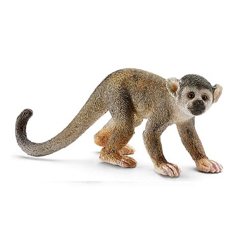 Play tons of free online games from nickelodeon, including spongebob games, puzzle games, sports games, racing games, & more on nick uk! Buy Schleich Squirrel Monkey | GAME