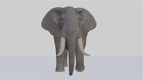 3d Model African Elephant Vr Ar Low Poly Cgtrader