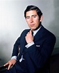 HRH Prince Charles by Allan Warren | Prince charles, Young prince ...