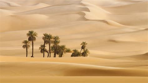 Dubai Desert Safari Hd 1024x576 Wallpaper
