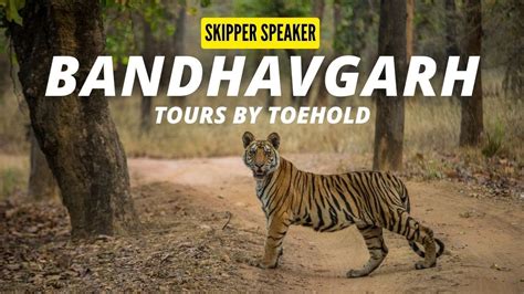 Bandhavgarh Photo Tours By Toehold Bandhavgarh Tiger Reserve