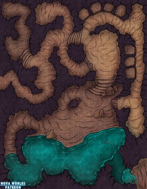Underground Cavern Battle Map Fantasy City Map Dungeon Maps Dnd