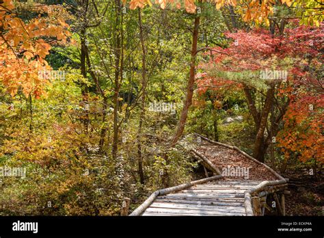 Fallcolors Hi Res Stock Photography And Images Alamy