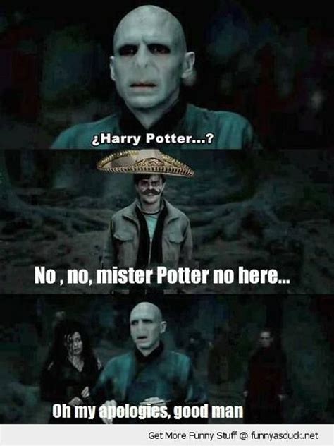 Haha Cant Stop Laughing Voldemort Trolled D D